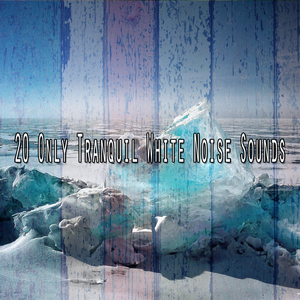 Neutralising Noise And Music