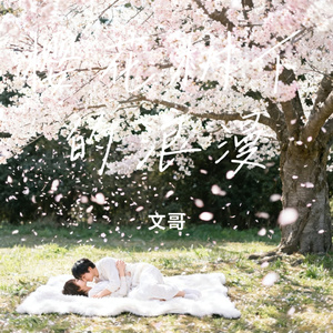 樱花树下的浪漫