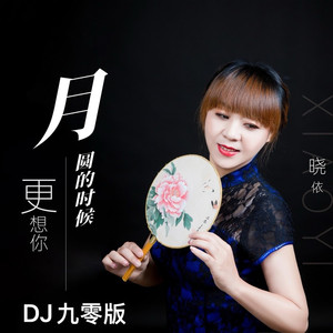 月圆的时候更想你 (DJ九零版)