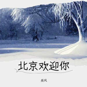 北京欢迎你