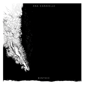 Vipassana 1: There Was No Space for Me