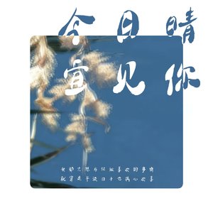 今日晴宜见你