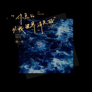 你怎么从我世界消失