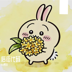 后街代码