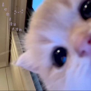 喜欢一个人是没法大方的