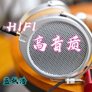 【蓝秋浩】车载歌曲 中文经典BYONG合集-DJ