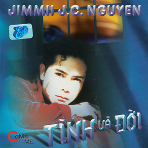 Tình như lá bay xa 2