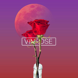 Vin Rose
