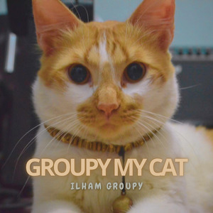Groupy My Cat