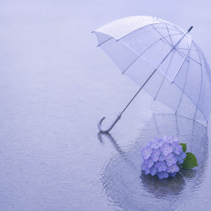 雨音