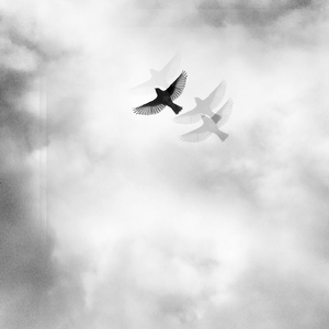 Malfunction Junction