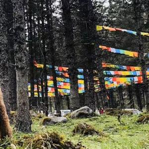 在秋天的海边上