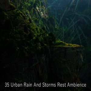 雨天思想的回声