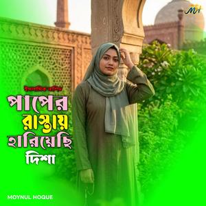 পাপের রাস্তায় হারিয়েছি দিশা