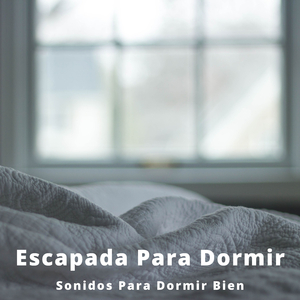 La Naturaleza De Los Árboles