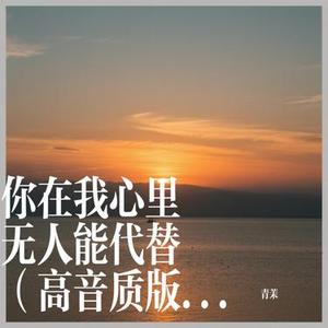 你在我心里无人能代替 (Cover 龙妹儿)