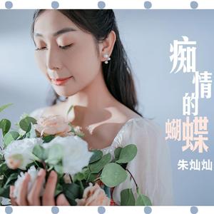 痴情的蝴蝶