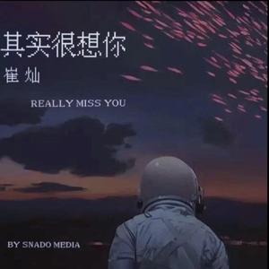 其实很想你