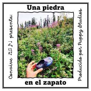 Una piedra en el zapato
