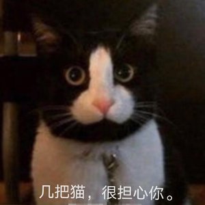 Various Artists / Various Artists-zedd（parents remix）