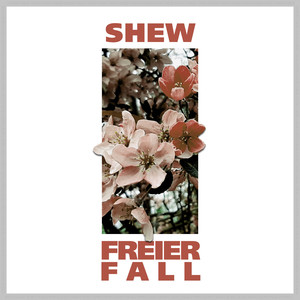 Freier Fall