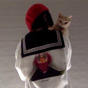 很甜请放心食用