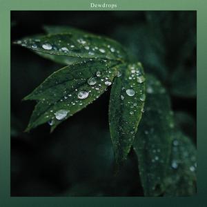 Dewdrops