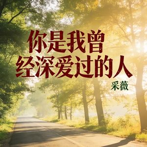 你是我曾经深爱过的人