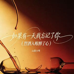 如果有一天我忘记了你（烈酒入喉醉了心）