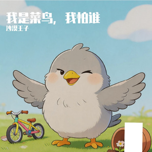 我是菜鸟，我怕谁