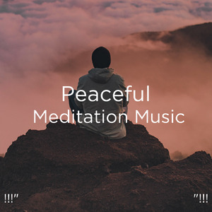 수면을위한 바다의 소리