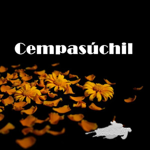 Cempasúchil