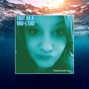 Tout va à vau-l'eau