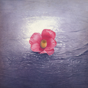 きょうだい心中