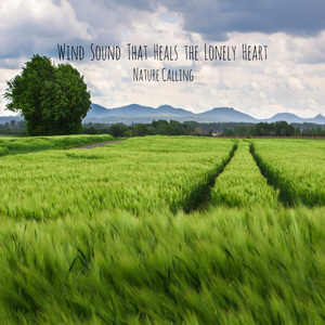 쓸쓸한 마음을 치유해주는 바람소리