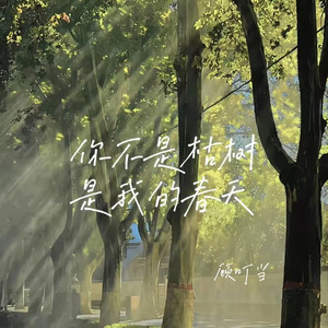 你不是枯树 是我的春天