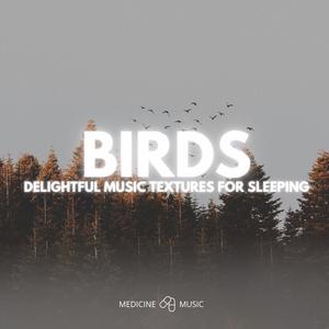 Nosedive (Deligthful Music Textures For Sleeping)