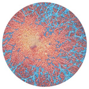Pattern Index