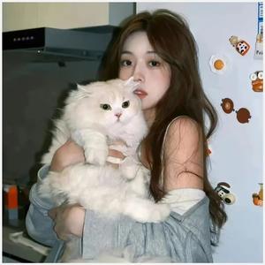 闪开！我才是小奶龙