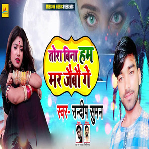 Tora Bina Hum Mar Jaibo Ge