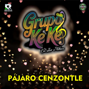 Pájaro Cenzontle