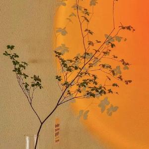 肉体上的当然 (1)