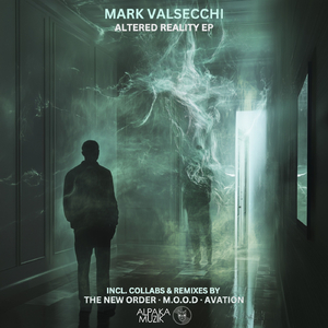 Modern Poetry (Avation Remix)