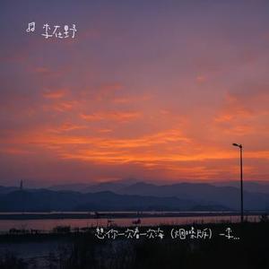 想你一次看一次海