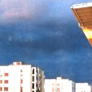 glueing back the wings you nurtured back to health