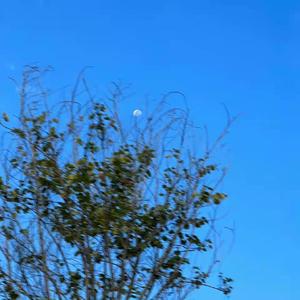 送给每一阶段的朋友（prod BY KAW的集装箱）