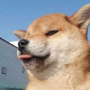 孤独星球的心跳