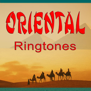 Cherry Blossom Dreams