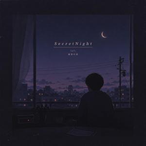 SecretNight