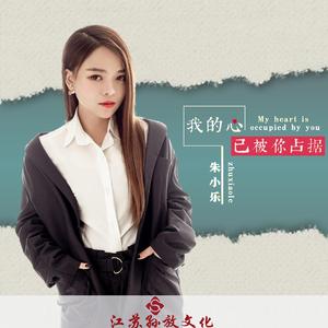 我的心已被你占据 (DJ版)